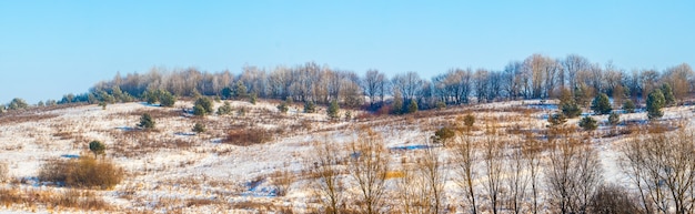 Paysage d'hiver avec champ enneigé et forêt au loin