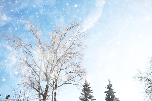 Paysage d'hiver des champs de pays et des routes dans la neige