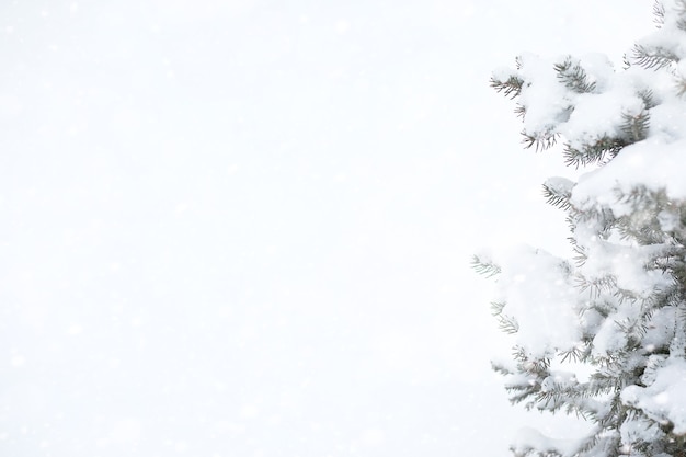 Paysage d'hiver des champs de pays et des routes dans la neige