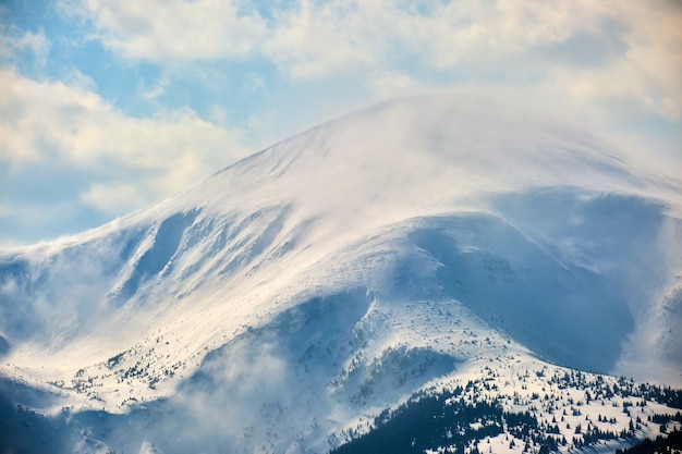 Paysage d'hiver avec des collines de haute montagne couvertes d'une forêt de pins à feuilles persistantes après de fortes chutes de neige par une froide journée d'hiver.