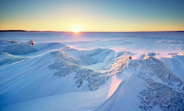 Paysage d'hiver. Composition de la nature.