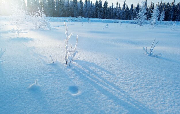 Paysage d'hiver congère. Scène d'hiver