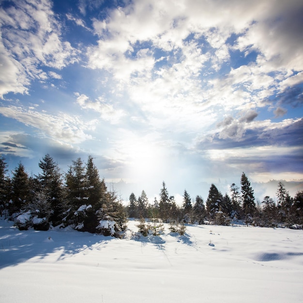 Paysage d'hiver sur un coucher de soleil dans les montagnes enneigées