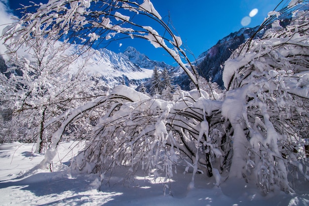 Paysage d'hiver dans les Alpes françaises