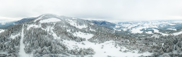 Paysage d'hiver dans le brouillard avec de la neige et des branches couvertes de givre et de neige gelée Photo de haute qualité