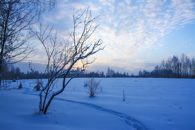 Paysage d'hiver dans une campagne.