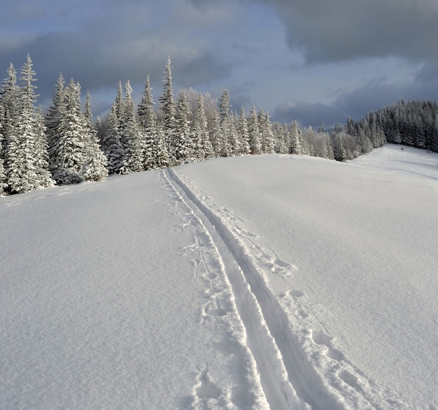 Photo paysage d'hiver dans les montagnes des carpates