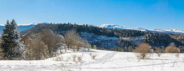 Paysage d'hiver dans les montagnes une journée ensoleillée