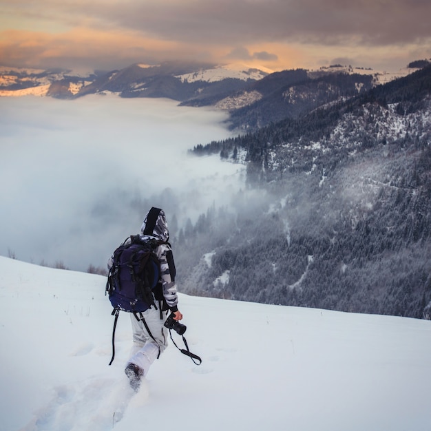 Paysage d'hiver dans les montagnes