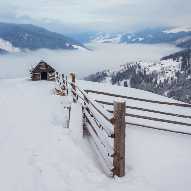 Paysage d'hiver dans les montagnes