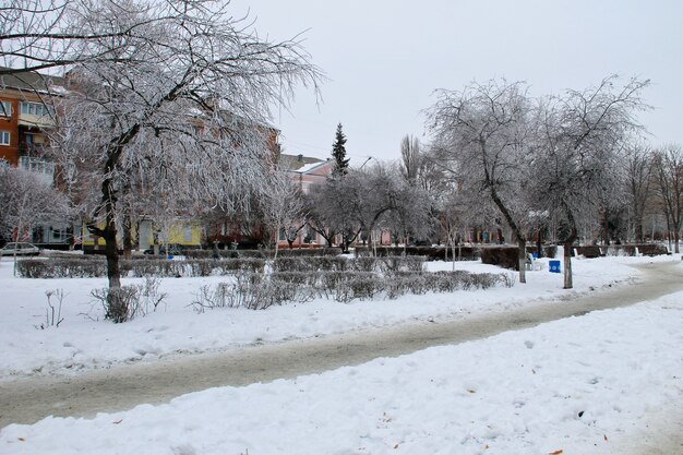 Paysage d'hiver dans le parc de la ville