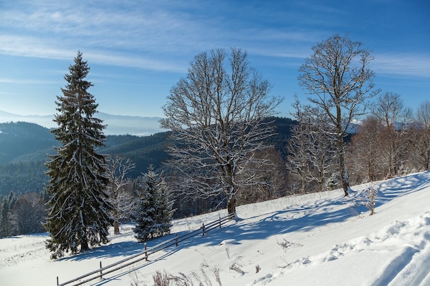 Paysage d'hiver dans la station de ski des montagnes de Bukovel