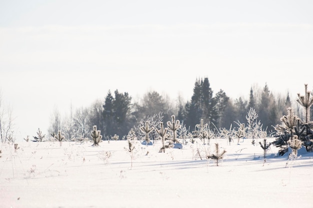 Paysage d'hiver dans le style du minimalisme avec rétro-éclairage