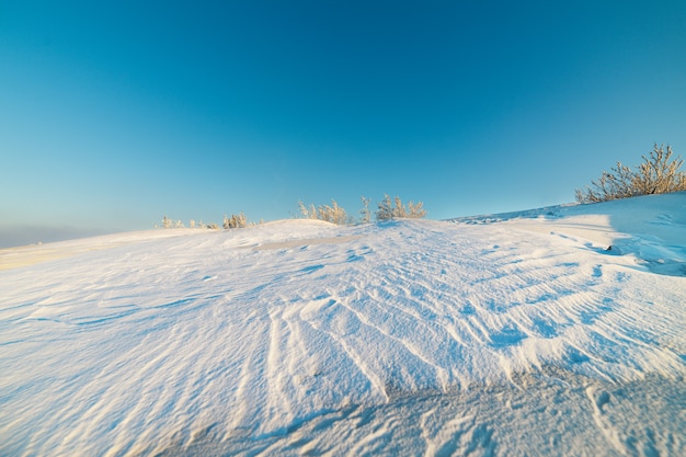 Paysage d'hiver désert et ciel bleu