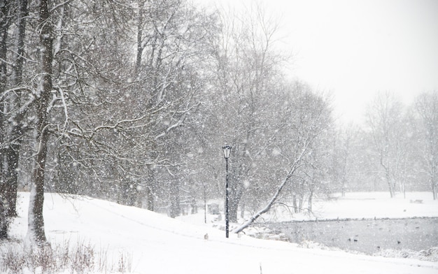 Paysage d'hiver enneigé comme un parc. Paysage d'hiver. Fortes chutes de neige dans le parc. Première neige.