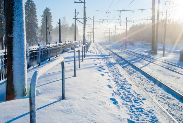 Un paysage d'hiver enneigé ensoleillé, des voies ferrées menant au loin jusqu'à l'horizon, entourées de grands sapins.