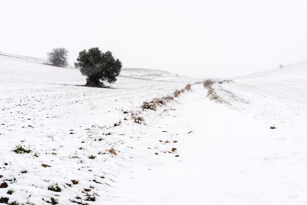 Paysage d'hiver enneigé. Madrid. Espagne.