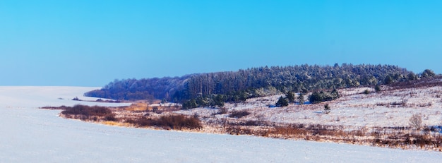 Paysage d'hiver avec des épicéas enneigés dans la forêt d'hiver par temps ensoleillé, panorama