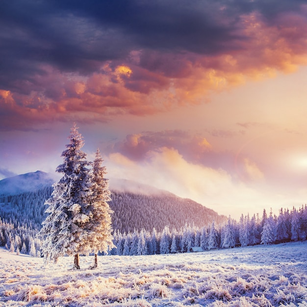 Paysage d'hiver fabuleux dans les montagnes.