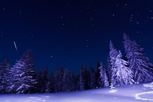 Paysage d'hiver fantastique Carpates Ukraine Europe Monde de la beauté