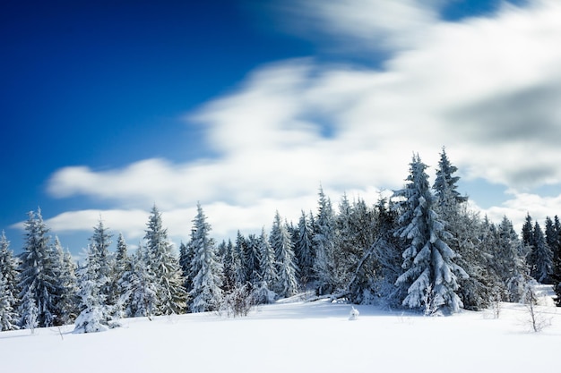 Paysage d'hiver fantastique ciel bleu Carpates Ukraine Europe Monde de beauté