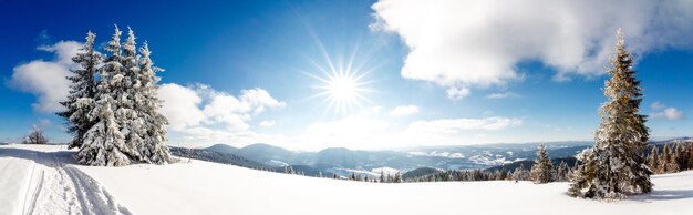 Paysage d'hiver fantastique ciel bleu Carpates Ukraine Europe Monde de beauté