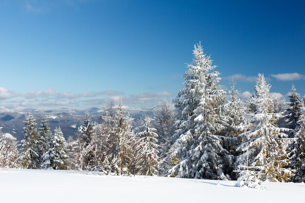 Paysage d'hiver fantastique ciel bleu Carpates Ukraine Europe Monde de beauté