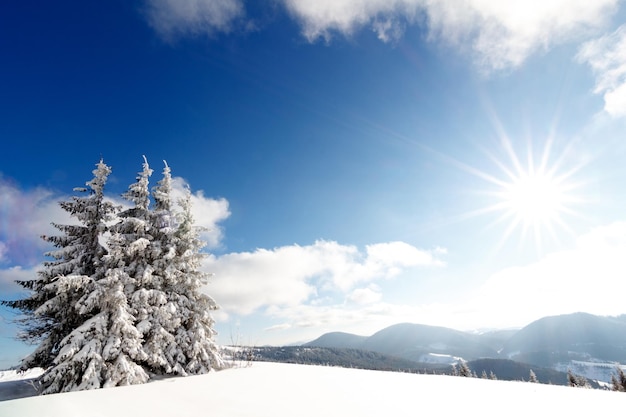 Paysage d'hiver fantastique ciel bleu Carpates Ukraine Europe Monde de beauté