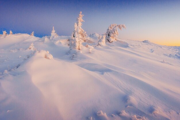 Paysage d'hiver fantastique dans les montagnes d'Ukraine