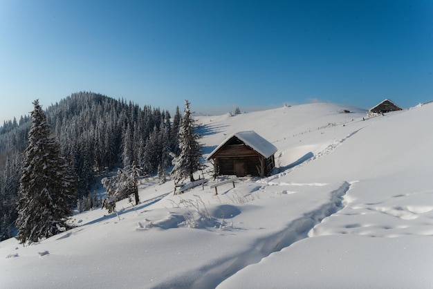 Paysage d'hiver fantastique avec maison en bois dans les montagnes enneigées. Notion de vacances de Noël. Montagne des Carpates, Ukraine, Europe