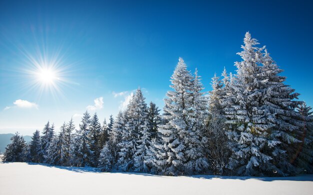 Paysage d'hiver fascinant avec une pente enneigée