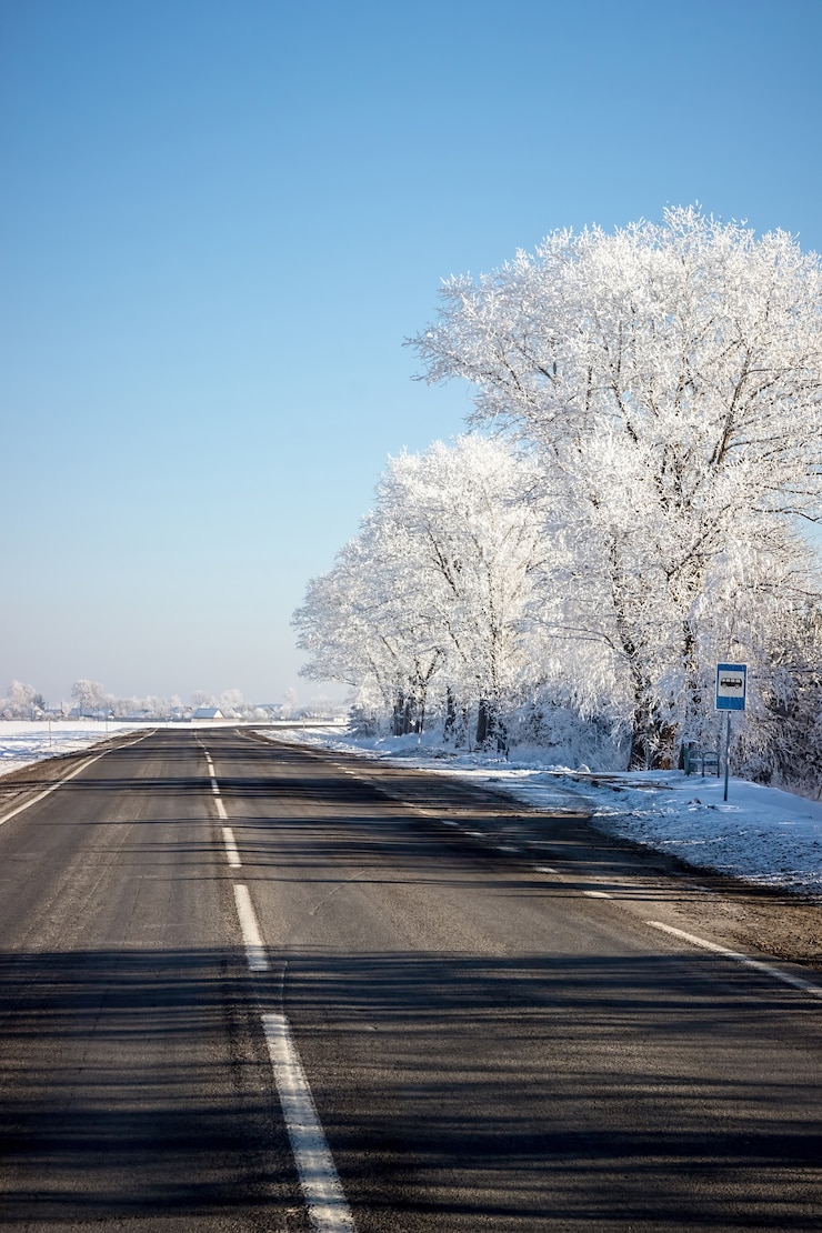 Photo paysage d'hiver, forêt couverte de neige