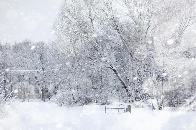 Paysage d'hiver. Forêt sous la neige. L'hiver dans le parc.