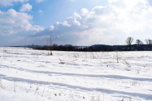 Paysage d'hiver glacial point de repère dans le champ de campagne Vue panoramique naturelle de la neige sur l'hiver froid