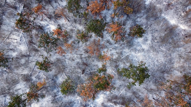 Paysage d'hiver d'en haut. Photographie de vue de drone.