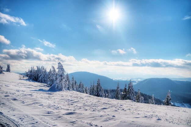 Paysage d'hiver HDR