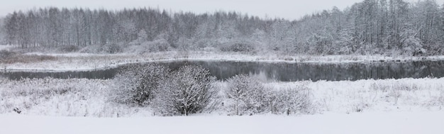 Paysage d'hiver Lac de forêt de Noël et du Nouvel An un matin d'hiver