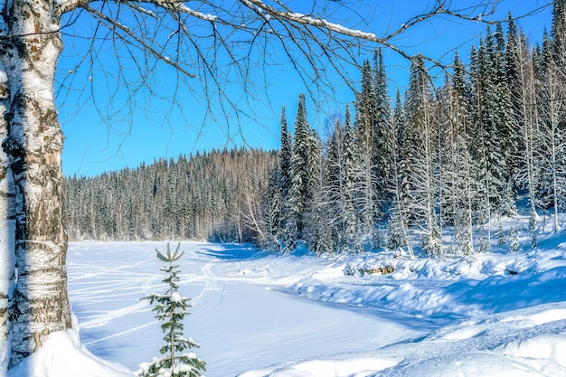 Paysage d'hiver sur le lac gelé