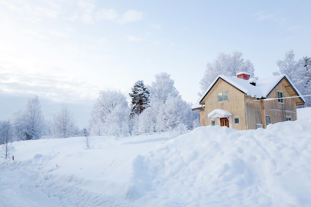 Paysage D'hiver En Laponie Suède