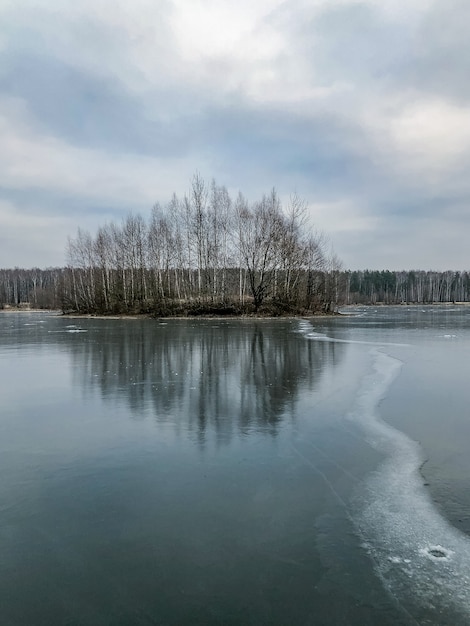 Paysage d'hiver avec ligne de bulles d'air glacées au lac gelé et île avec des arbres sans feuilles au loin