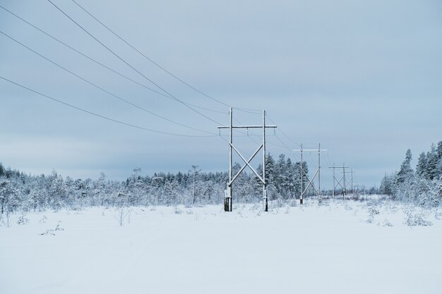 Paysage d'hiver lignes électriques dans un champ enneigé dans la forêt