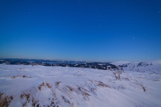 Paysage d'hiver magique avec arbre couvert de neige Ciel nocturne vibrant avec étoiles et nébuleuse et galaxie Astrophoto du ciel profond