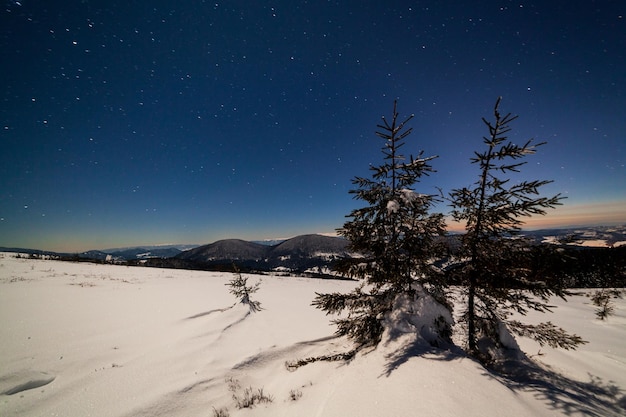 Paysage d'hiver magique avec arbre couvert de neige Ciel nocturne vibrant avec étoiles et nébuleuse et galaxie Astrophoto du ciel profond