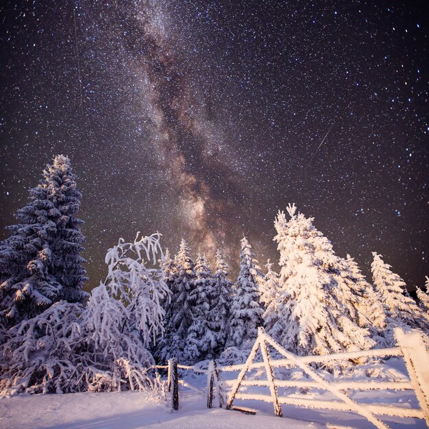 Paysage d'hiver magique