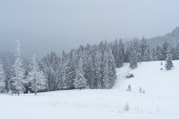 Paysage d'hiver avec maison en bois dans une forêt de montagne. Journée nuageuse et neige fraîche. Carpates, Ukraine, Europe