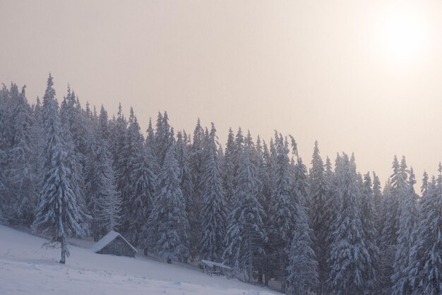 Paysage d'hiver avec maison en bois dans les montagnes