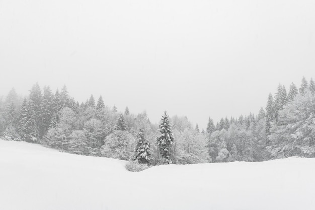 Paysage d'hiver minimaliste par temps nuageux