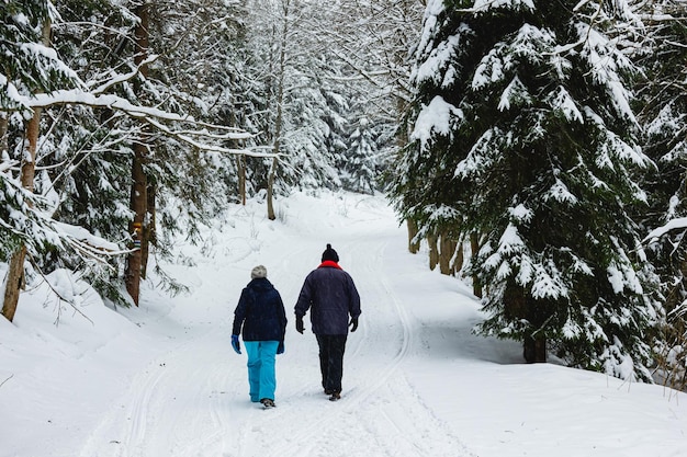 Paysage d'hiver Mode de vie actif Couple de personnes âgées marchant dans la forêt en montagne Temps de neige froid