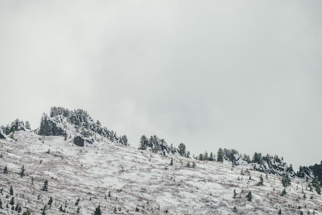 Paysage d'hiver avec montagne enneigée avec forêt de conifères et pinacle pointu avec des arbres au sommet dans la brume. Paysage alpin atmosphérique avec sapins à flanc de colline. Épinettes sur la montagne enneigée et les rochers pointus.