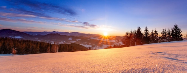 Paysage d'hiver de montagne forêt d'épinettes couverte de neige dans le paysage d'hiver